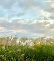 蚊里田八幡宮(長野県)