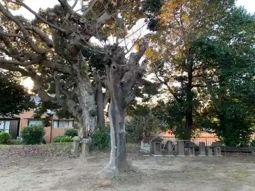 白山神社の自然