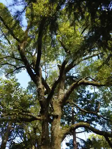 空鞘稲生神社の自然
