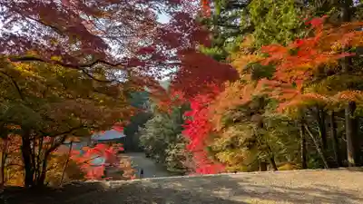 神護寺(京都府)
