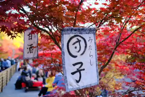 禅林寺（永観堂）の景色