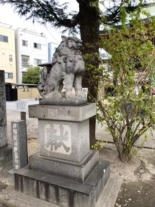 今戸神社の狛犬