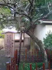 天神社の自然