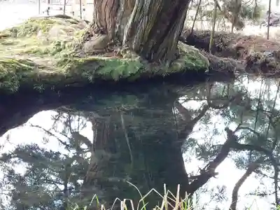 一本杉神社(島根県)