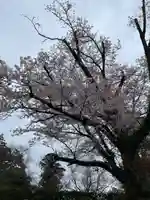 御寺 泉涌寺(京都府)