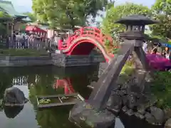 亀戸天神社の庭園