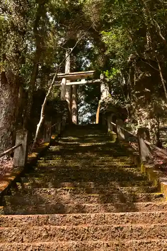 八幡神社（渋草）(愛媛県)