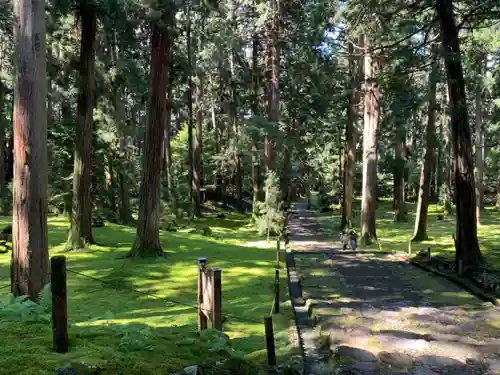 平泉寺白山神社の建物その他