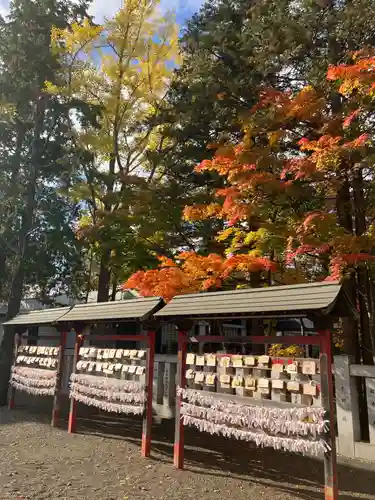 岩見澤神社の絵馬