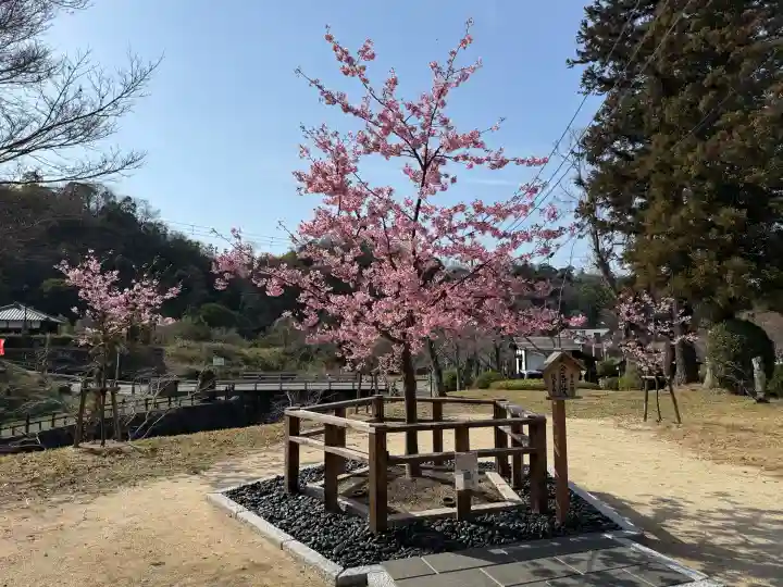 根来寺の{uncategorized: "未分類", other: "その他", undefined: "問題あり", building: "その他建物", grave: "お墓", sacred_gate: "鳥居", guardian: "狛犬", statue: "像", buddha: "仏像", history: "歴史", nature: "自然", garden: "庭園", animal: "動物", pagoda: "塔", temizu: "手水舎", mountain_gate: "山門・神門", sanctuary: "本殿・本堂", subordinate: "末社・摂社", art: "芸術", scenery: "景色", jizo: "地蔵", ema: "絵馬", goshuin: "御朱印", omikuji: "おみくじ", items: "授与品その他", amulet: "お守り", goshuincho: "御朱印帳", eats: "食事", festival: "お祭り", votive_dance: "神楽", shichigosan: "七五三参", wedding: "結婚式", experience: "体験その他", initially: "初詣", around: "周辺", anti_infection: "感染症対策"}