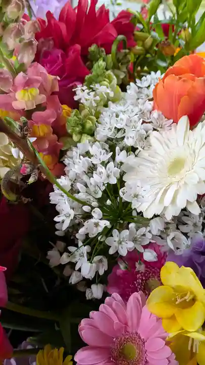 勝林寺(京都府)