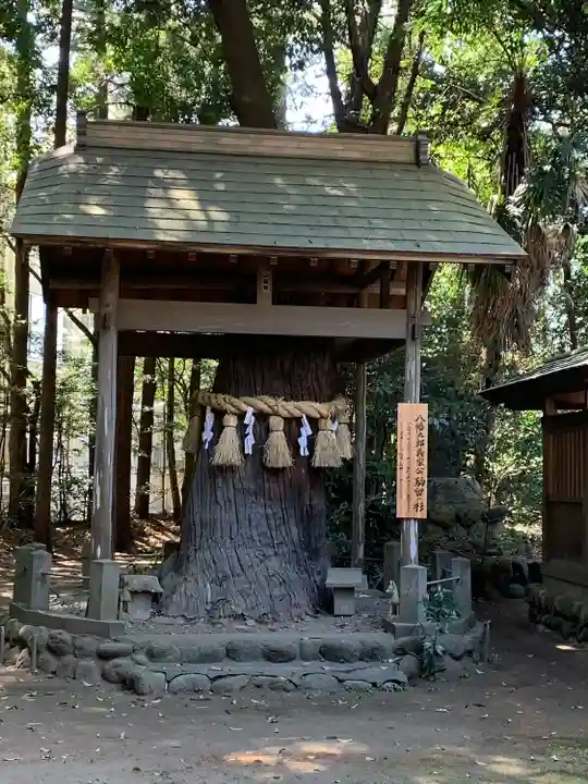 三ケ尻八幡神社(埼玉県)