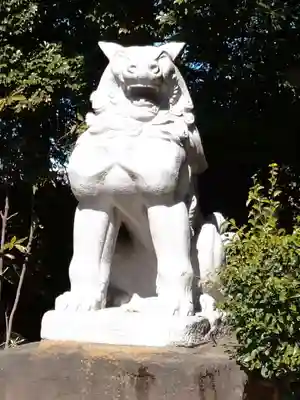 駒木諏訪神社の狛犬
