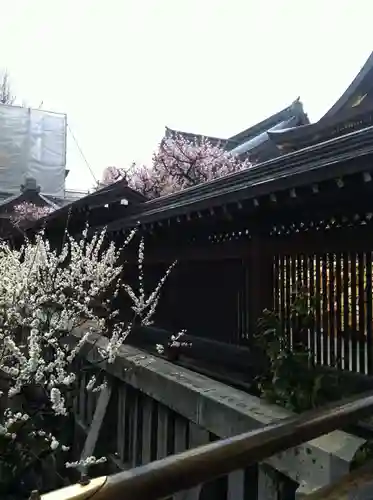 湯島天満宮(東京都)