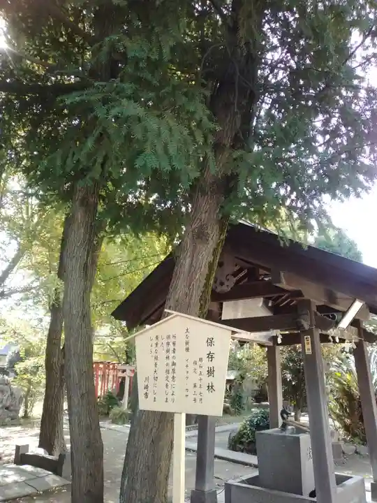 若宮八幡宮 (神奈川県)