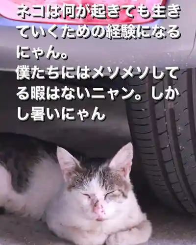 専念寺(大阪府)