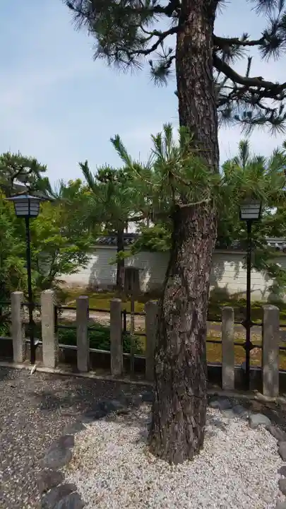 六請神社の自然