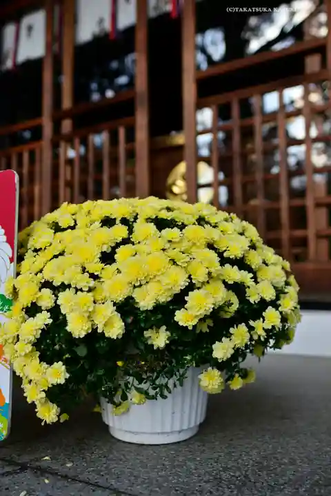 下神明天祖神社(東京都)
