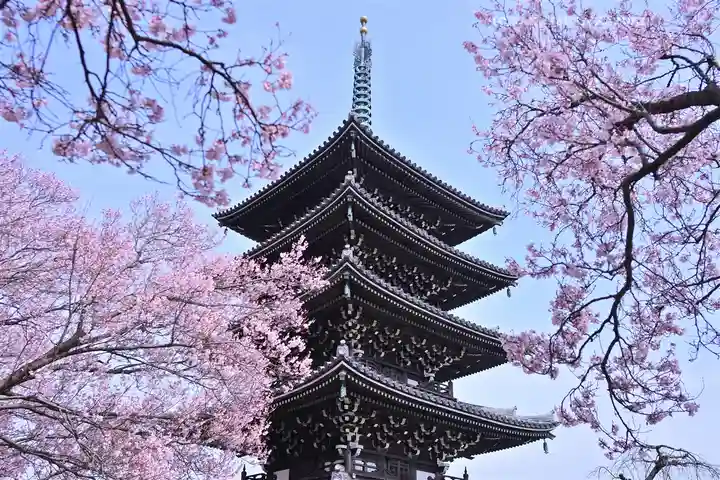 香林寺(神奈川県)