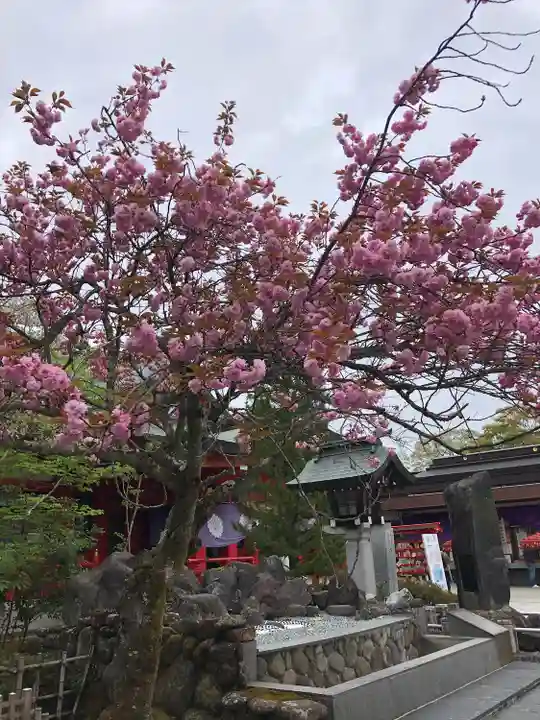 宮城縣護國神社の自然