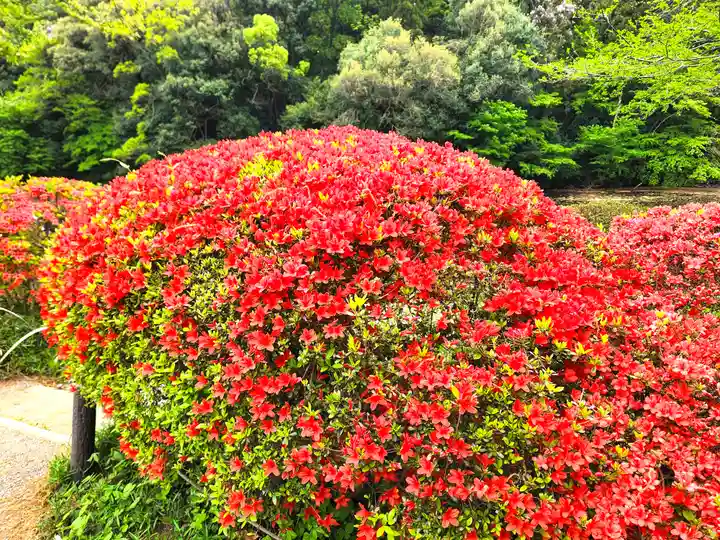 明治神宮(東京都)