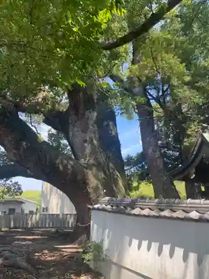 岡中鎮守社(大阪府)