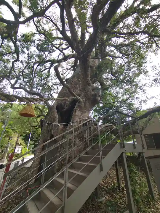 山王神社(長崎県)