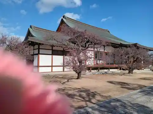 薬師寺(奈良県)