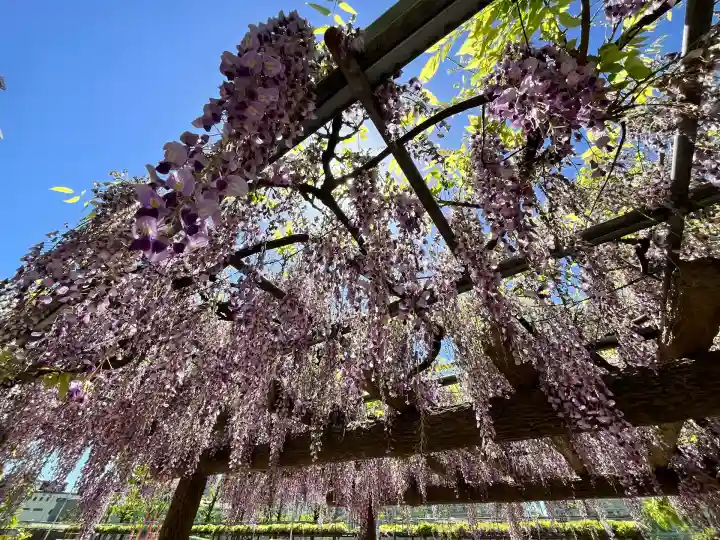 天満宮中之社(廃神社・石碑あり)(大阪府)