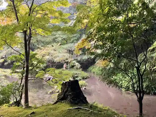南禅院(京都府)