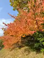 厚別神社(北海道)