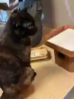 五十稲荷神社(栄寿稲荷神社)(東京都)