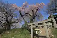 見渡神社の鳥居