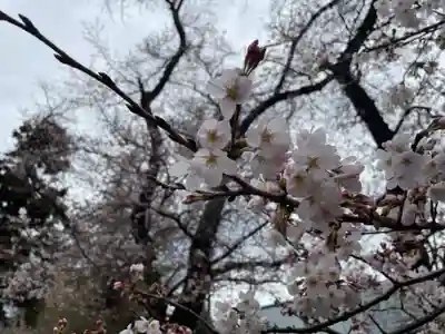新田稲荷神社の自然