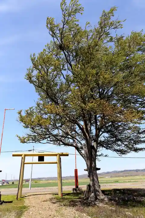 大富神社(北海道)