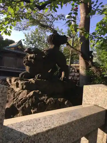 新宿下落合氷川神社の狛犬