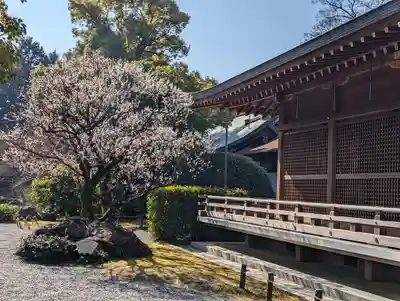 城南宮(京都府)