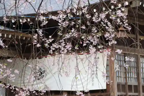 王宮伊豆神社の自然