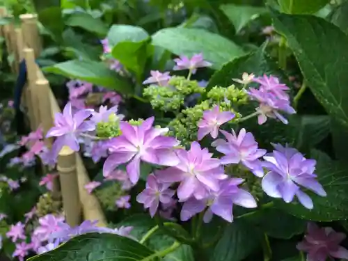 三室戸寺の自然