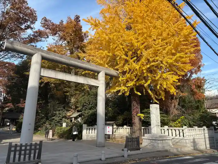阿佐ヶ谷神明宮(東京都)