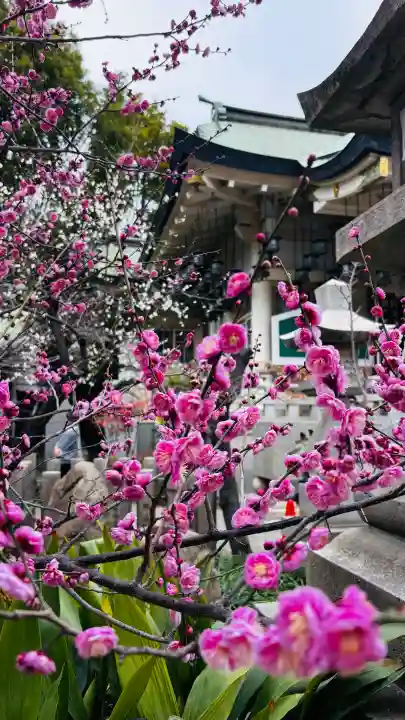 難波八阪神社の{uncategorized: "未分類", other: "その他", undefined: "問題あり", building: "その他建物", grave: "お墓", sacred_gate: "鳥居", guardian: "狛犬", statue: "像", buddha: "仏像", history: "歴史", nature: "自然", garden: "庭園", animal: "動物", pagoda: "塔", temizu: "手水舎", mountain_gate: "山門・神門", sanctuary: "本殿・本堂", subordinate: "末社・摂社", art: "芸術", scenery: "景色", jizo: "地蔵", ema: "絵馬", goshuin: "御朱印", omikuji: "おみくじ", items: "授与品その他", amulet: "お守り", goshuincho: "御朱印帳", eats: "食事", festival: "お祭り", votive_dance: "神楽", shichigosan: "七五三参", wedding: "結婚式", experience: "体験その他", initially: "初詣", around: "周辺", anti_infection: "感染症対策"}