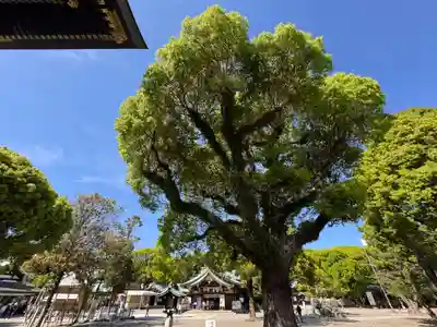 真清田神社(愛知県)