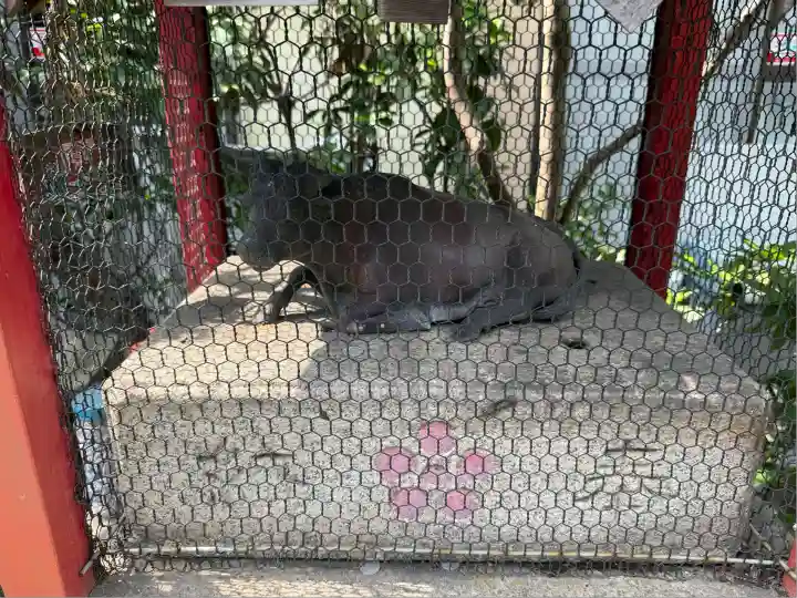 千喜万悦天満宮(京都府)
