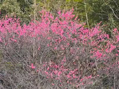 紫雲院(奈良県)