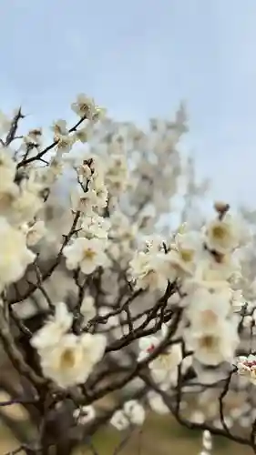 神前神社(岡山県)