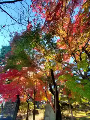 開成山大神宮(福島県)