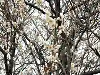 八宮赤山神社(滋賀県)
