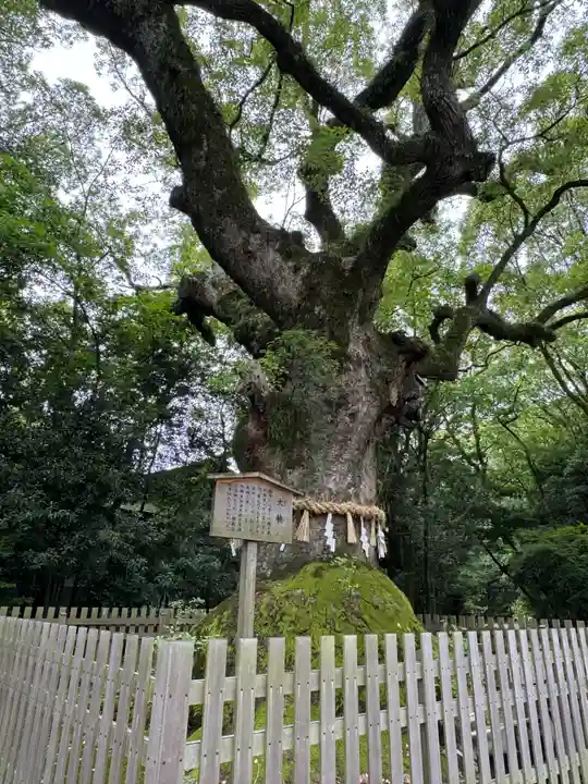 熱田神宮(愛知県)
