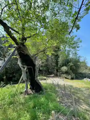 諏訪神社(群馬県)