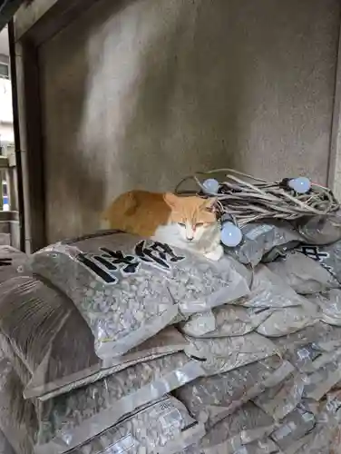 小野照崎神社の動物